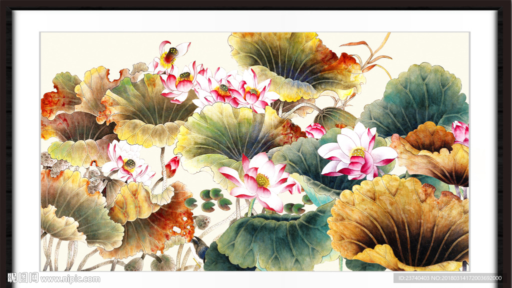 国画荷花