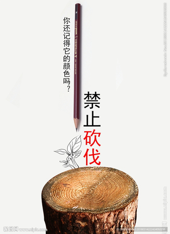 禁止砍伐