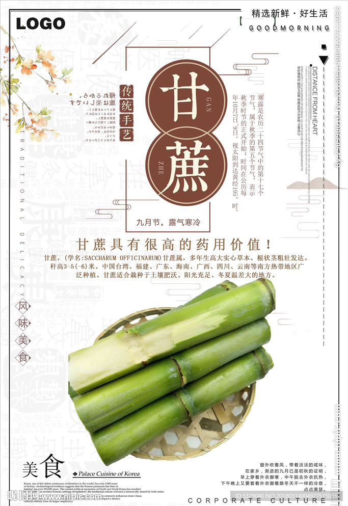 创意美食甘蔗海报
