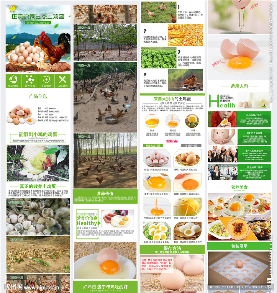 农家散养土鸡蛋详情