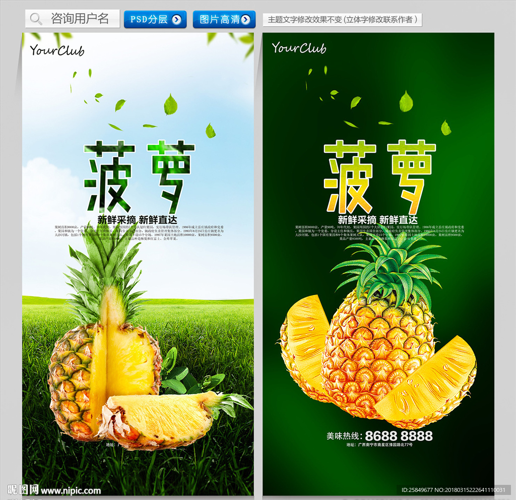 菠萝