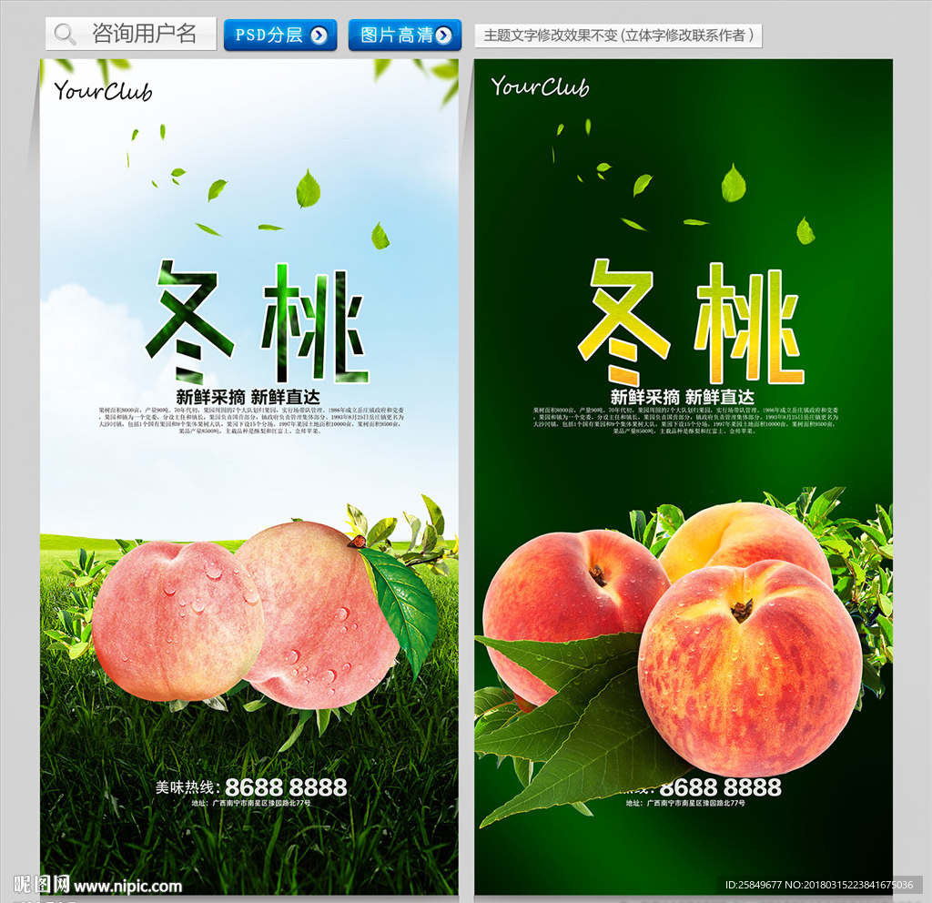 冬桃