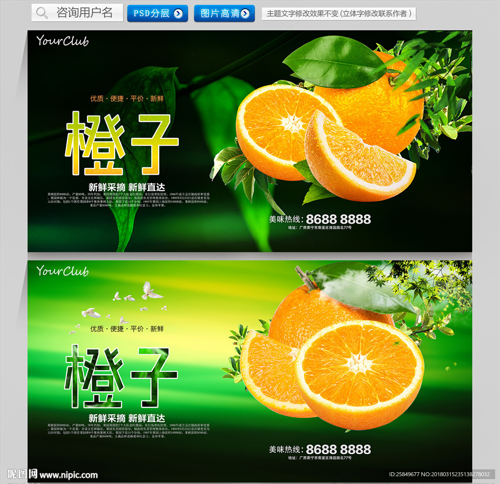 橙子