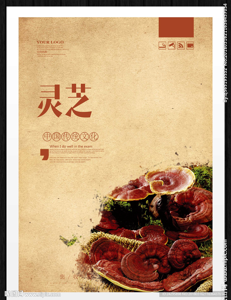 灵芝