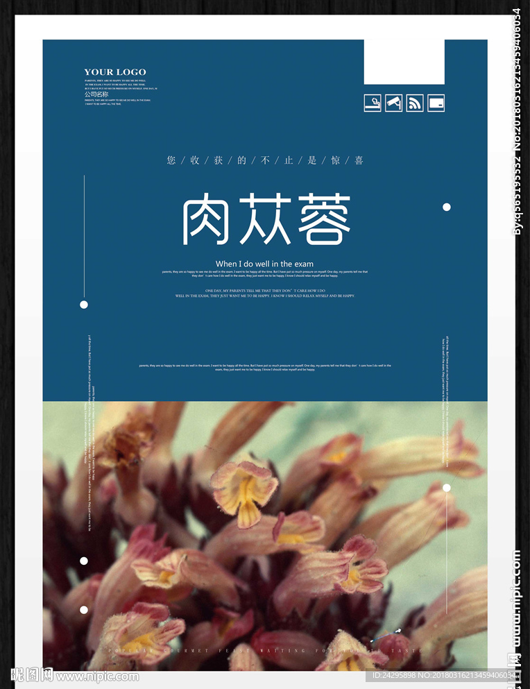 肉苁蓉