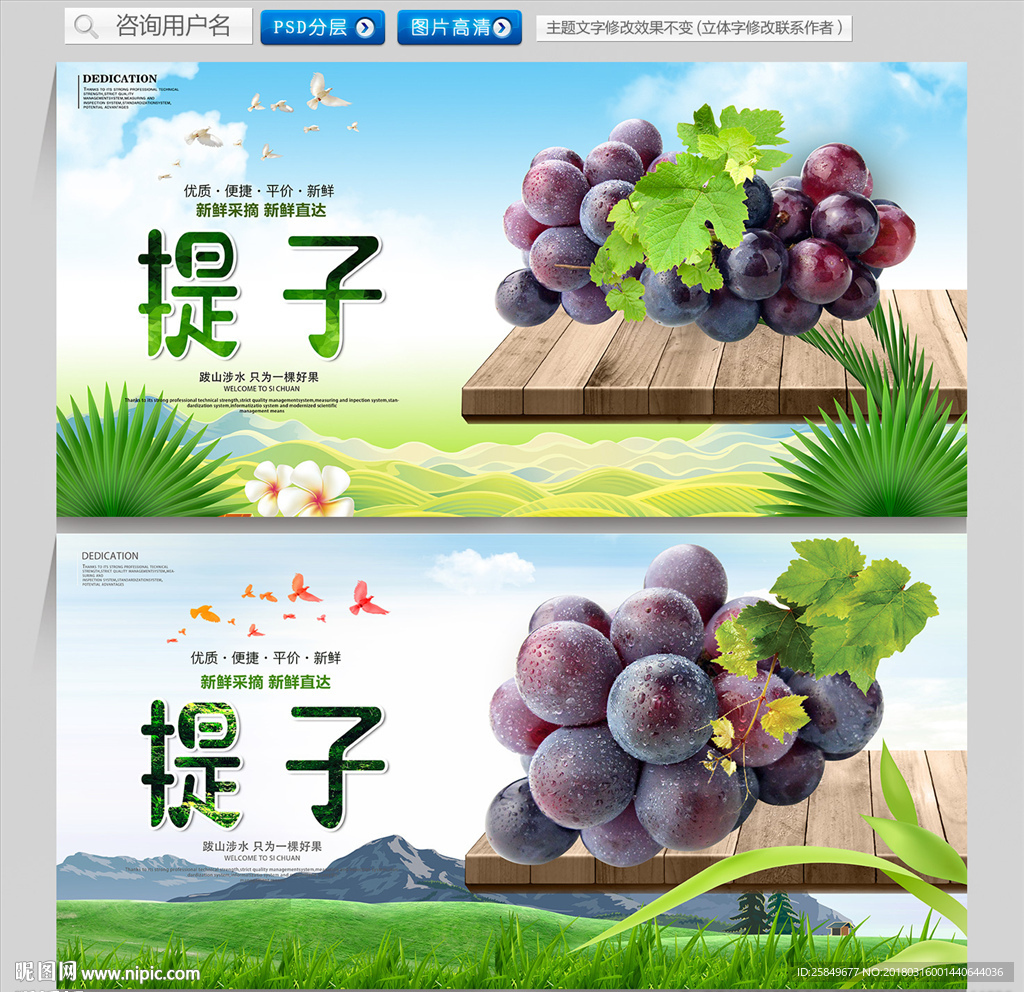 提子