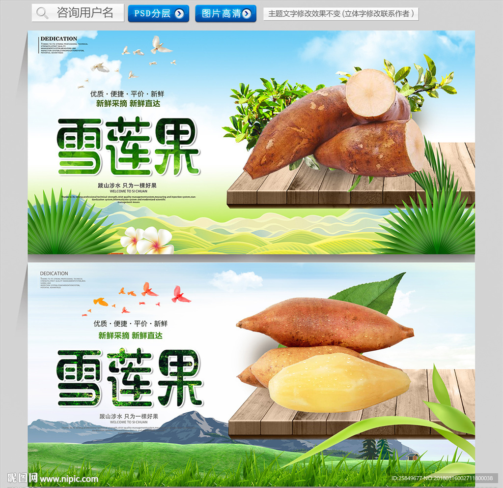 雪莲果