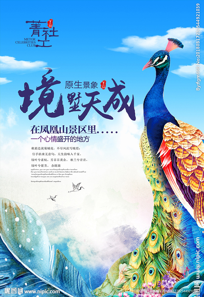 美丽孔雀翅膀羽毛古典插画地产
