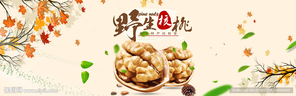 野生核桃海报