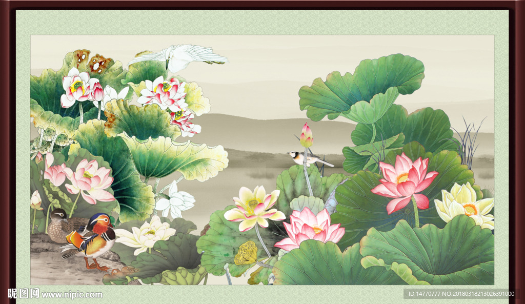 荷花图
