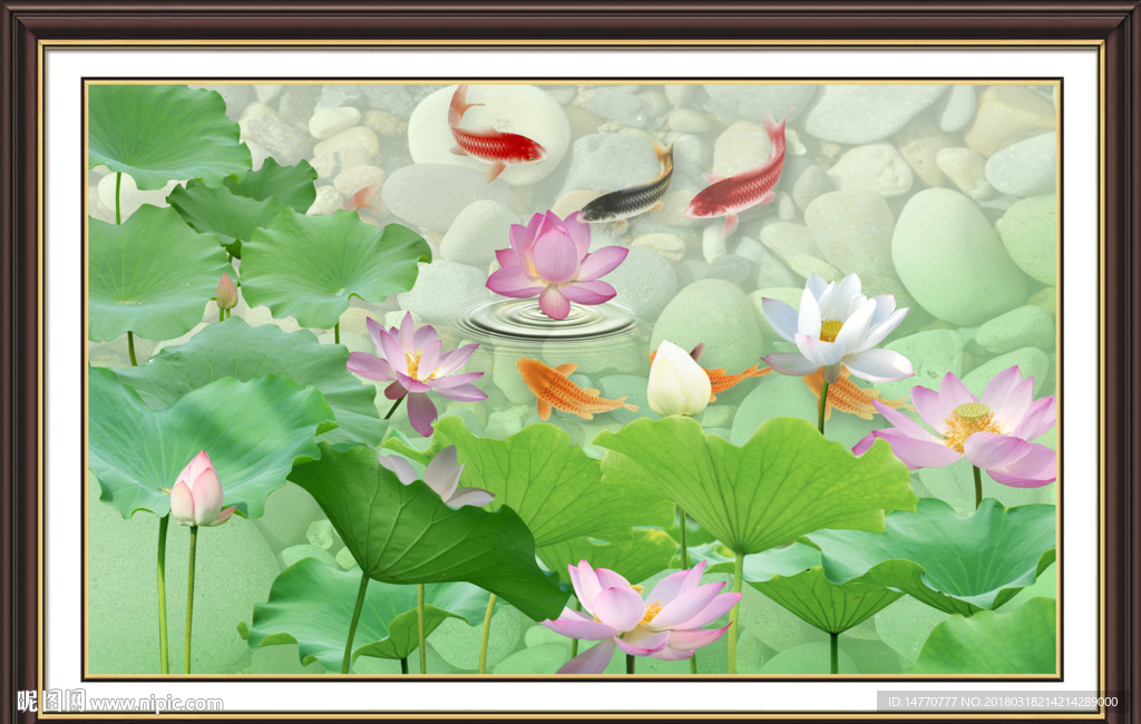荷花鲤鱼图