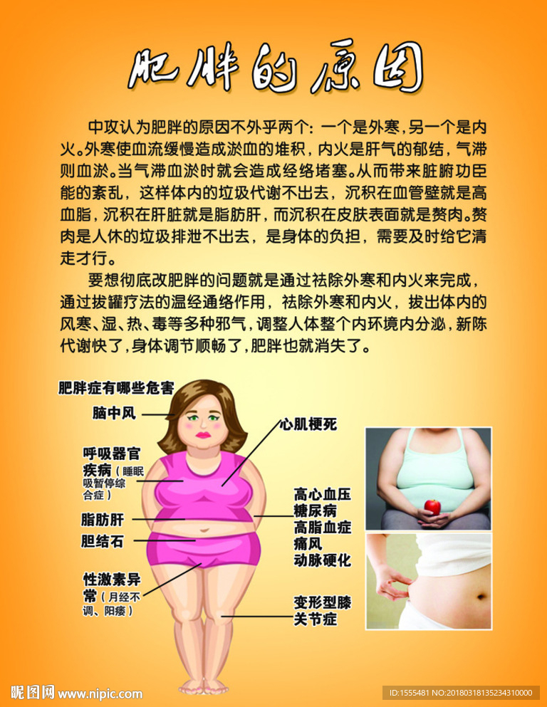 美容瘦身理疗养生之肥胖的原因