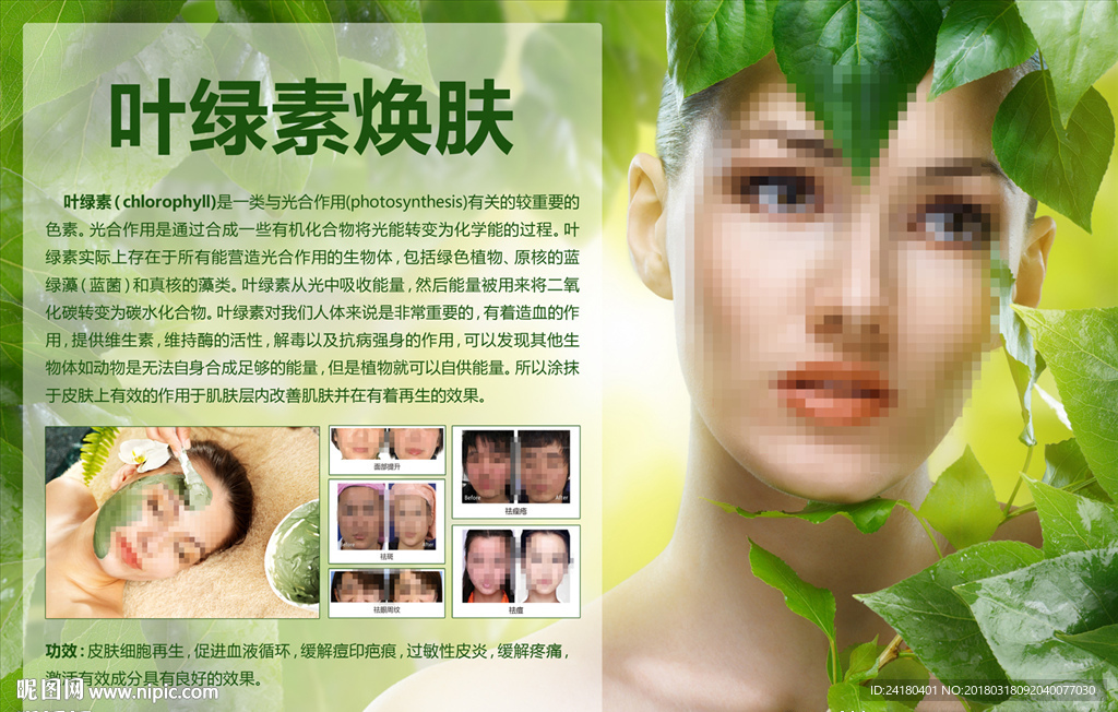 叶绿素焕肤海报