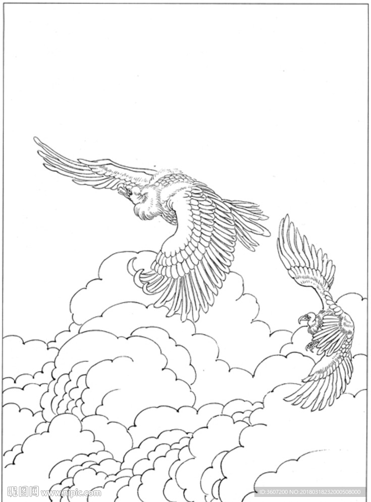 雄鹰 线描 素描 白描 国画