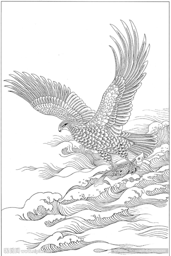 雄鹰 线描 素描 白描 国画