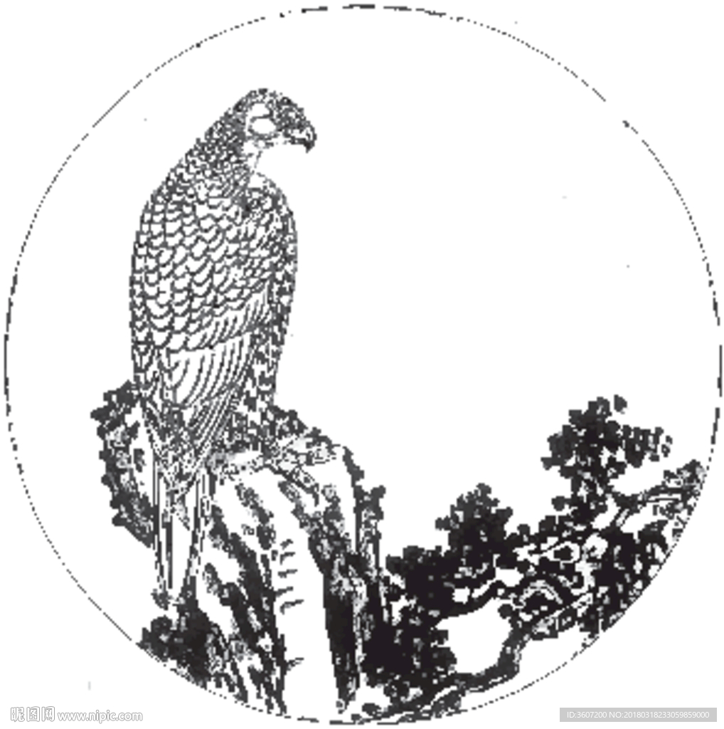 雄鹰 线描 素描 白描 国画