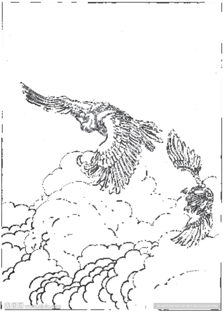 雄鹰 线描 素描 白描 国画