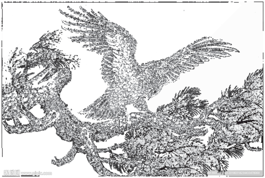 雄鹰 线描 素描 白描 国画