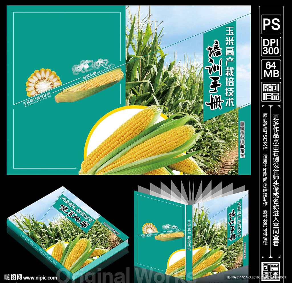 玉米栽培技术手册