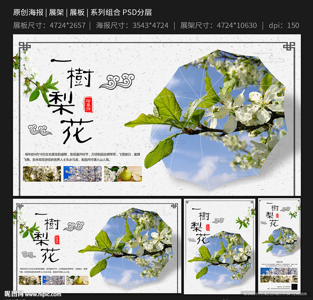 春季出游赏花梨花海报展架