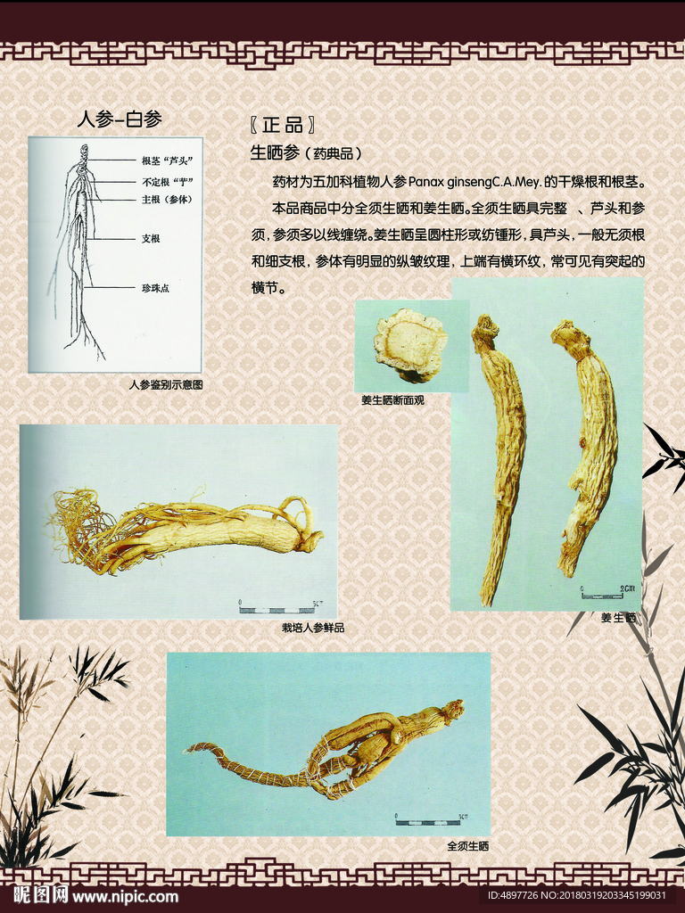 中药