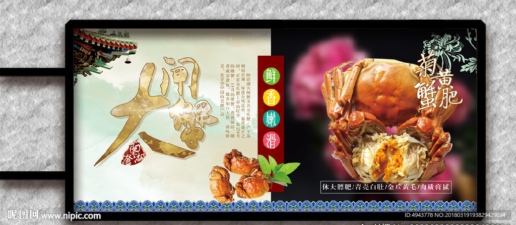 阳澄湖大闸蟹