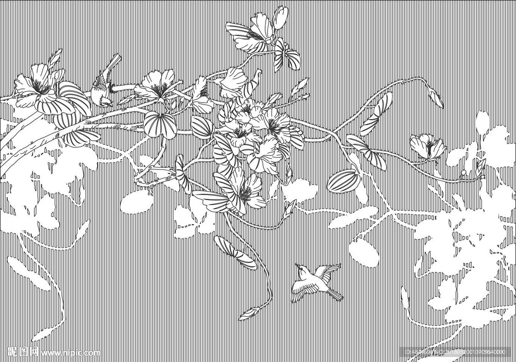 紫荆花 鸟