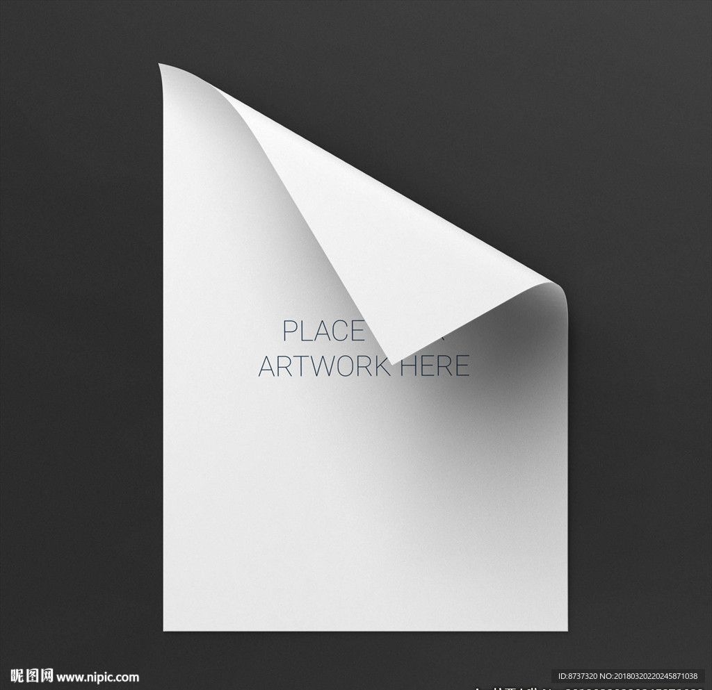 公司企业文案VI样机 A4