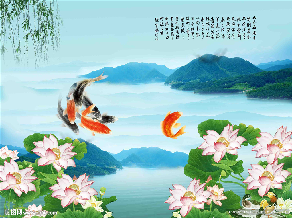 荷花