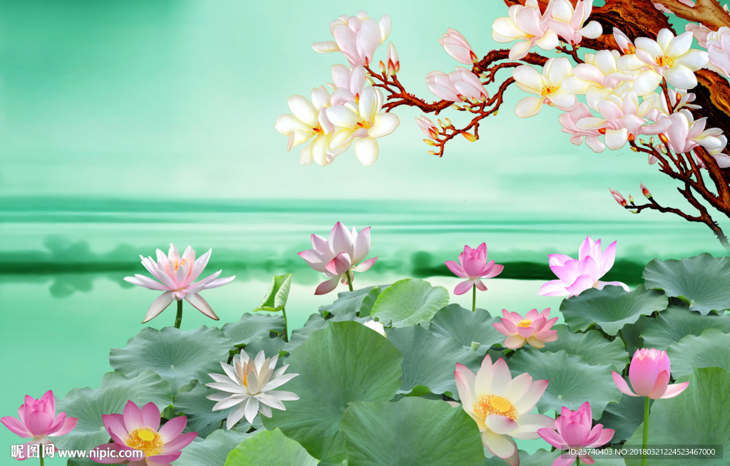 荷花背景墙
