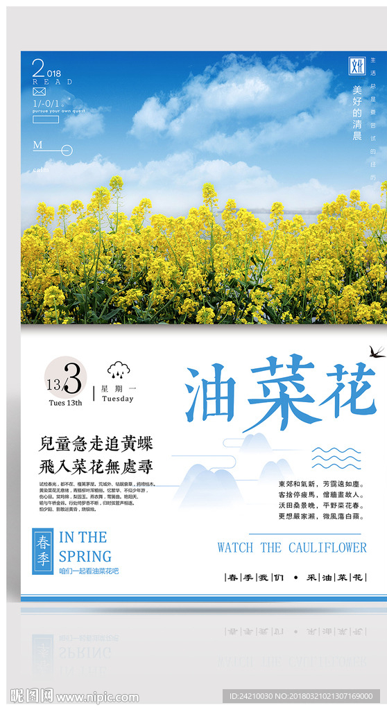 油菜花旅游海报