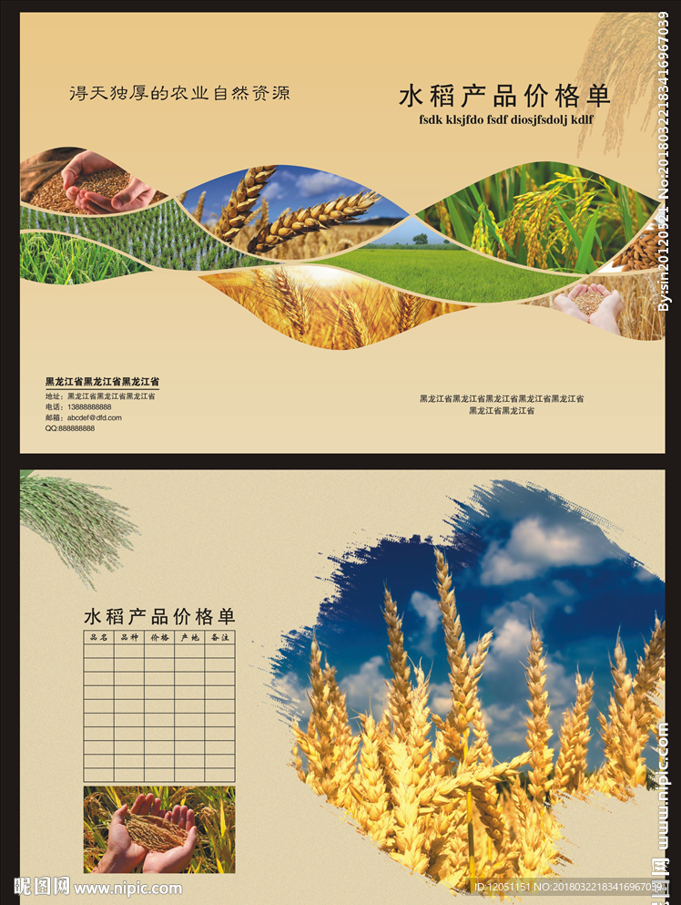 水稻粮食产品宣传