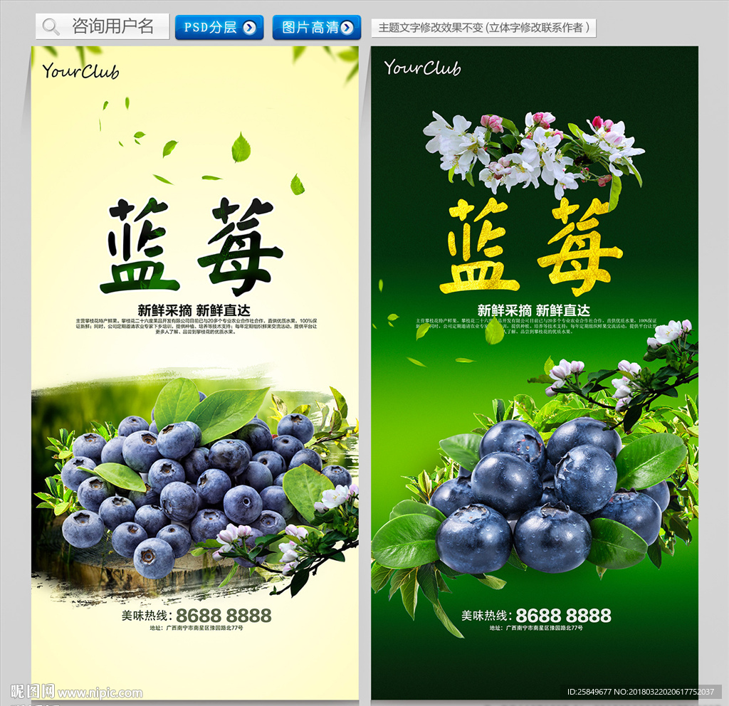 蓝莓