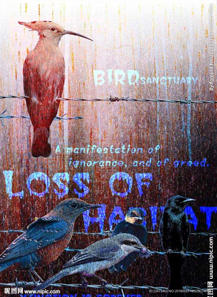 鸬鹚飞鸟捕鱼酒吧音乐企业文化