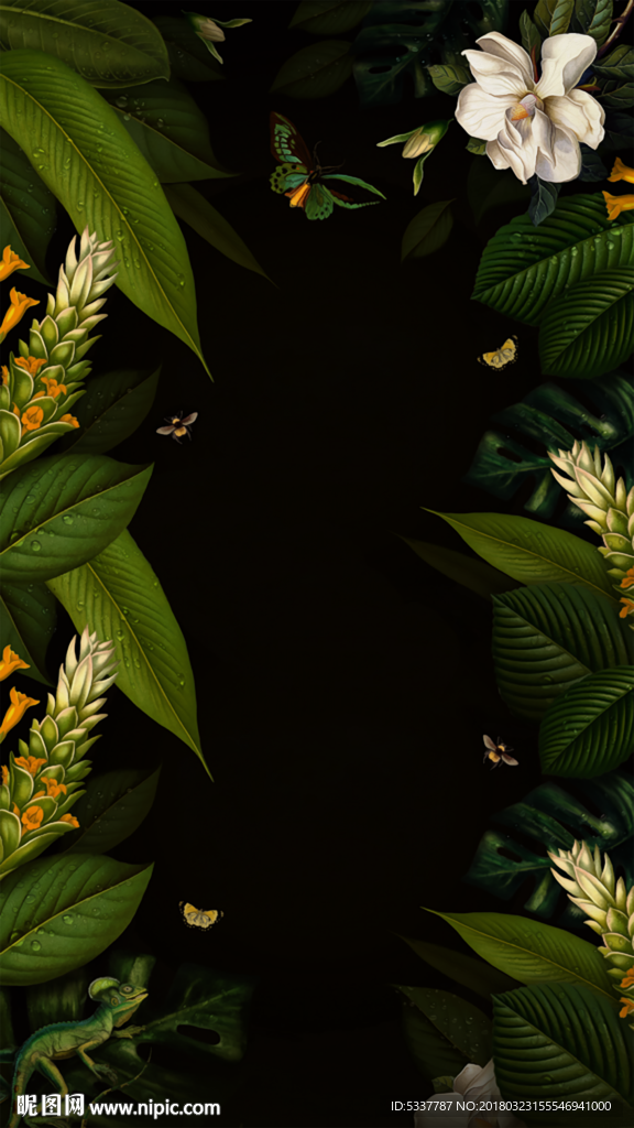热带植物花背景
