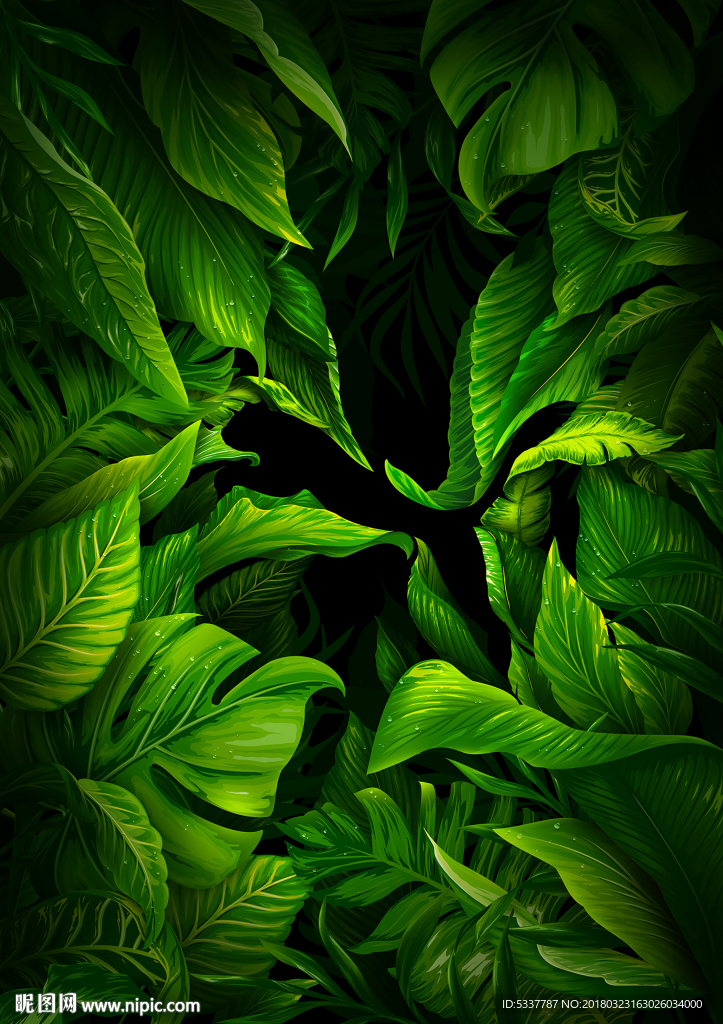 热带植物叶