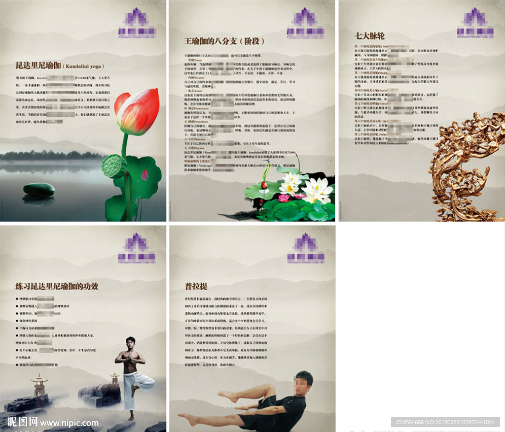 瑜伽会所瑜伽馆项目介绍