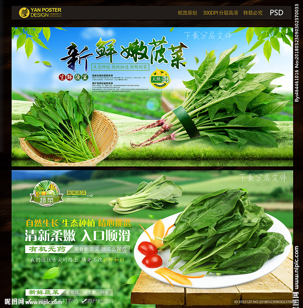 菠菜