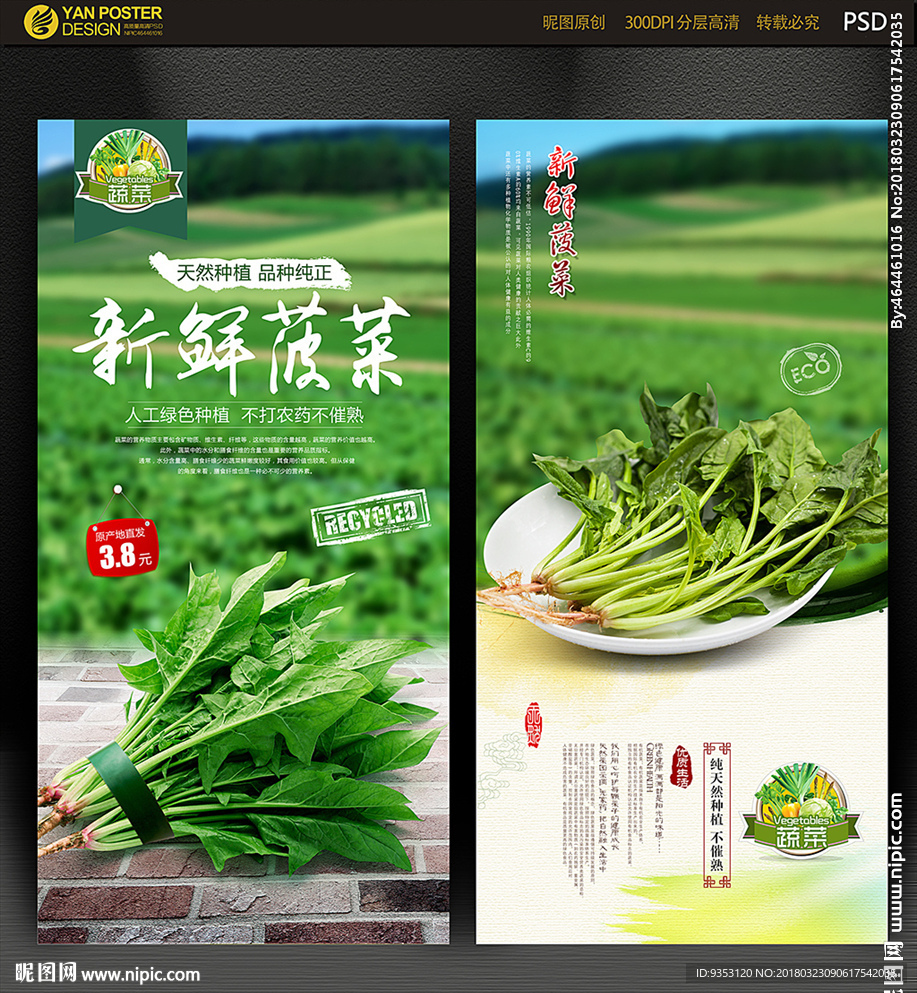 菠菜海报