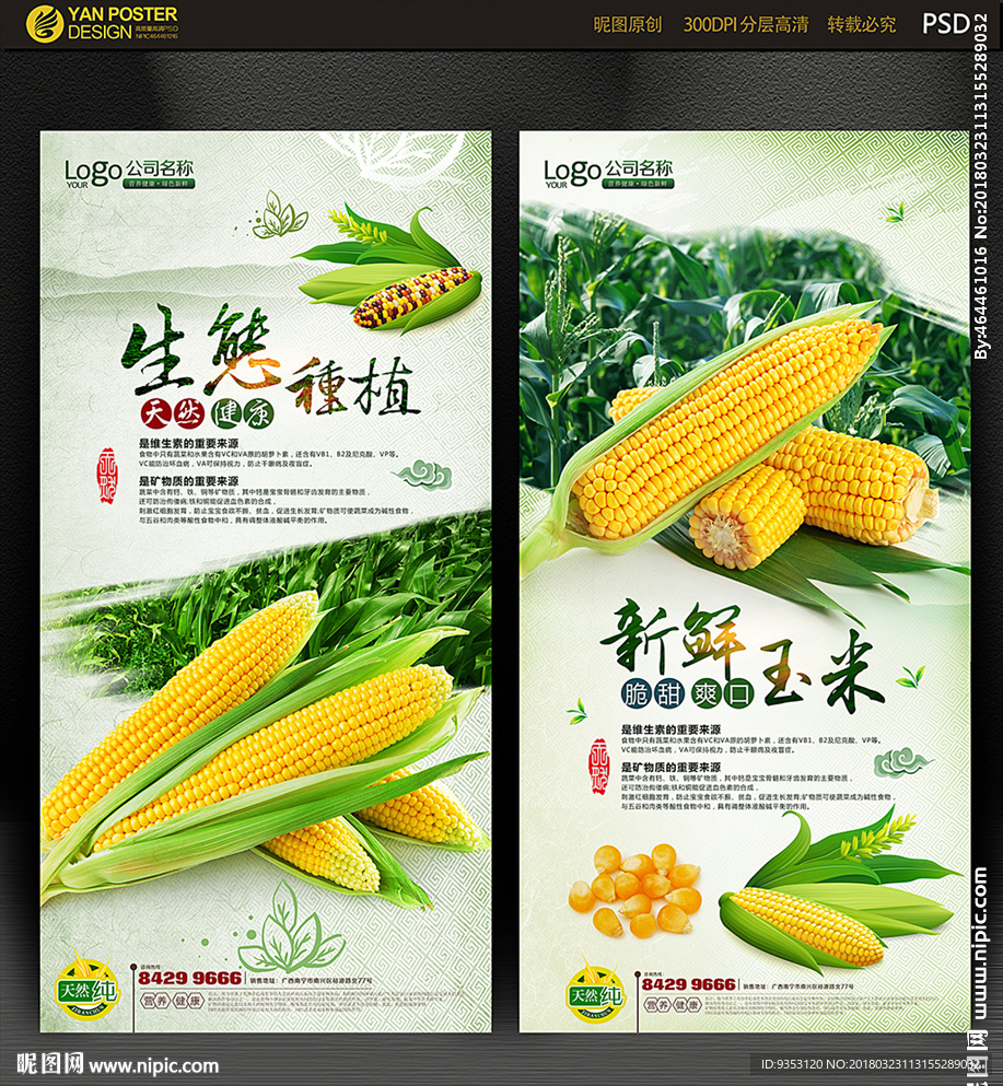 玉米