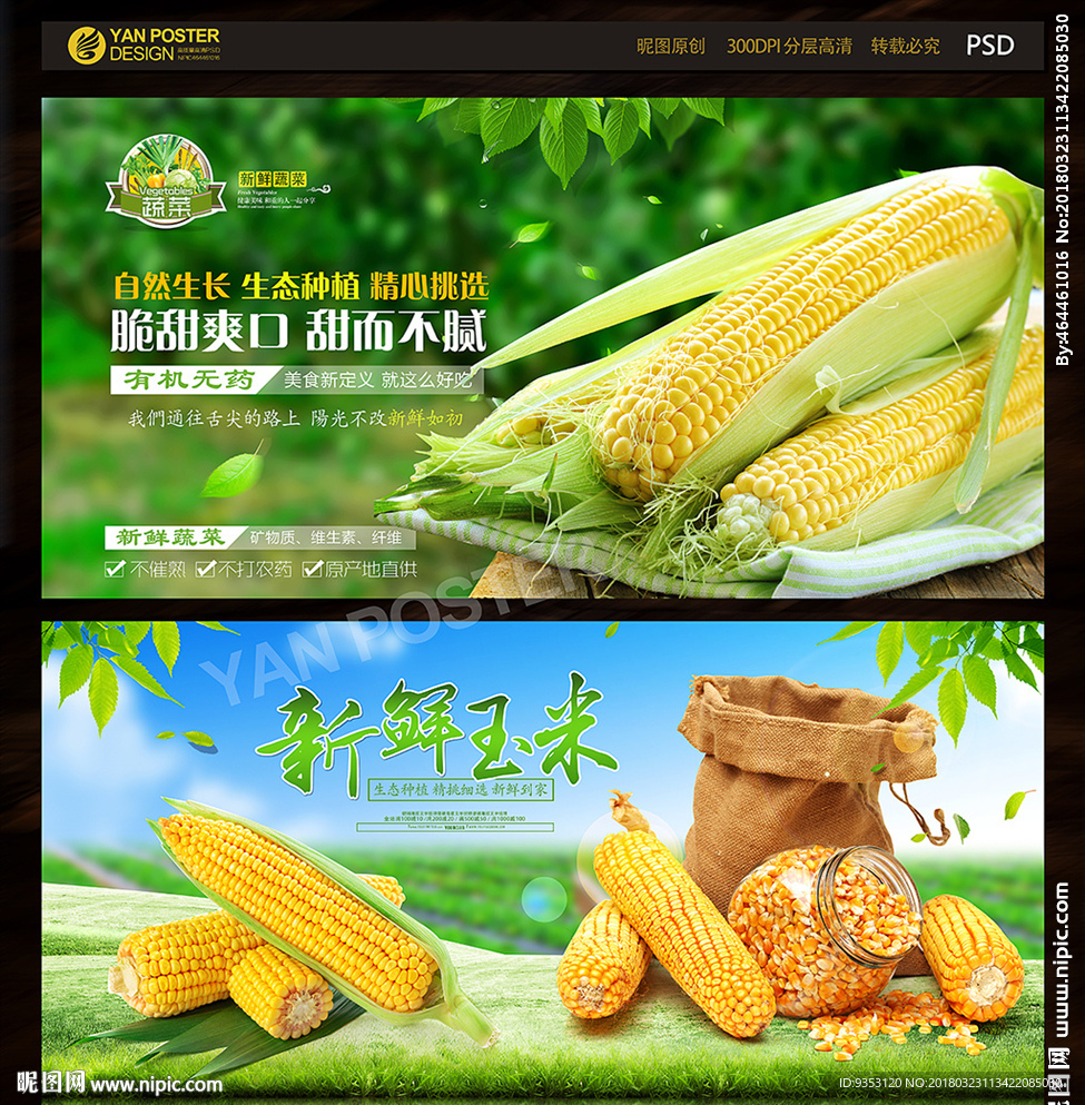 玉米