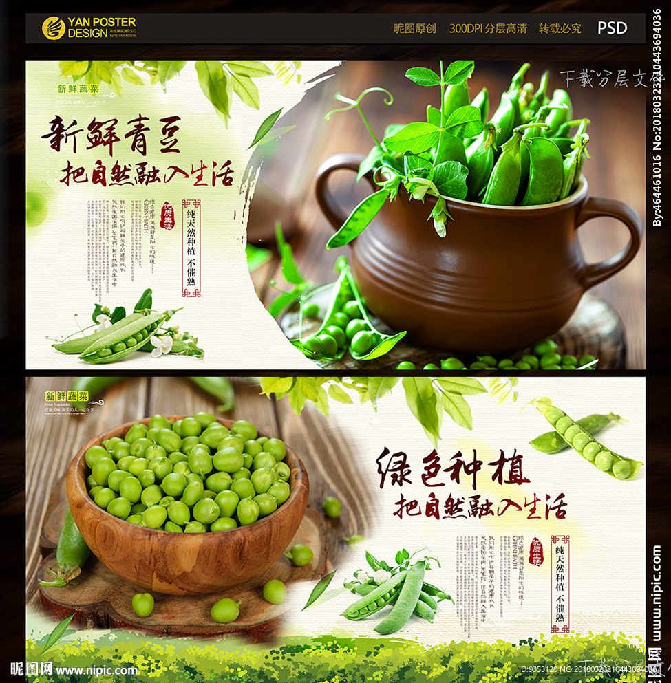 青豆