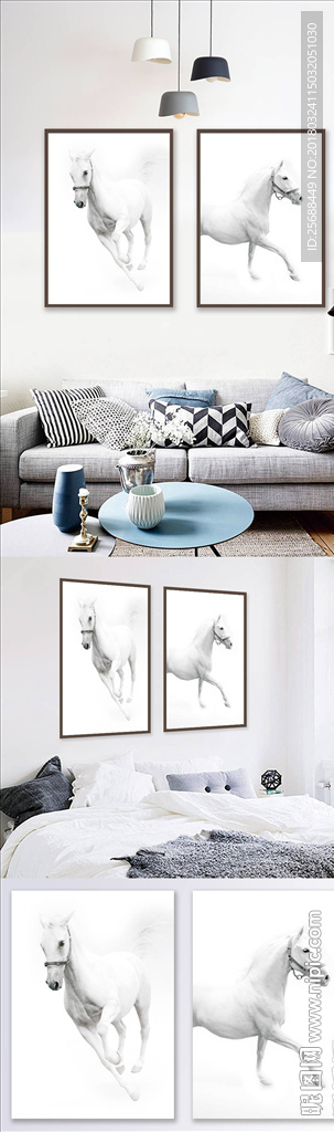 现代简约清新动物白马客厅装饰画