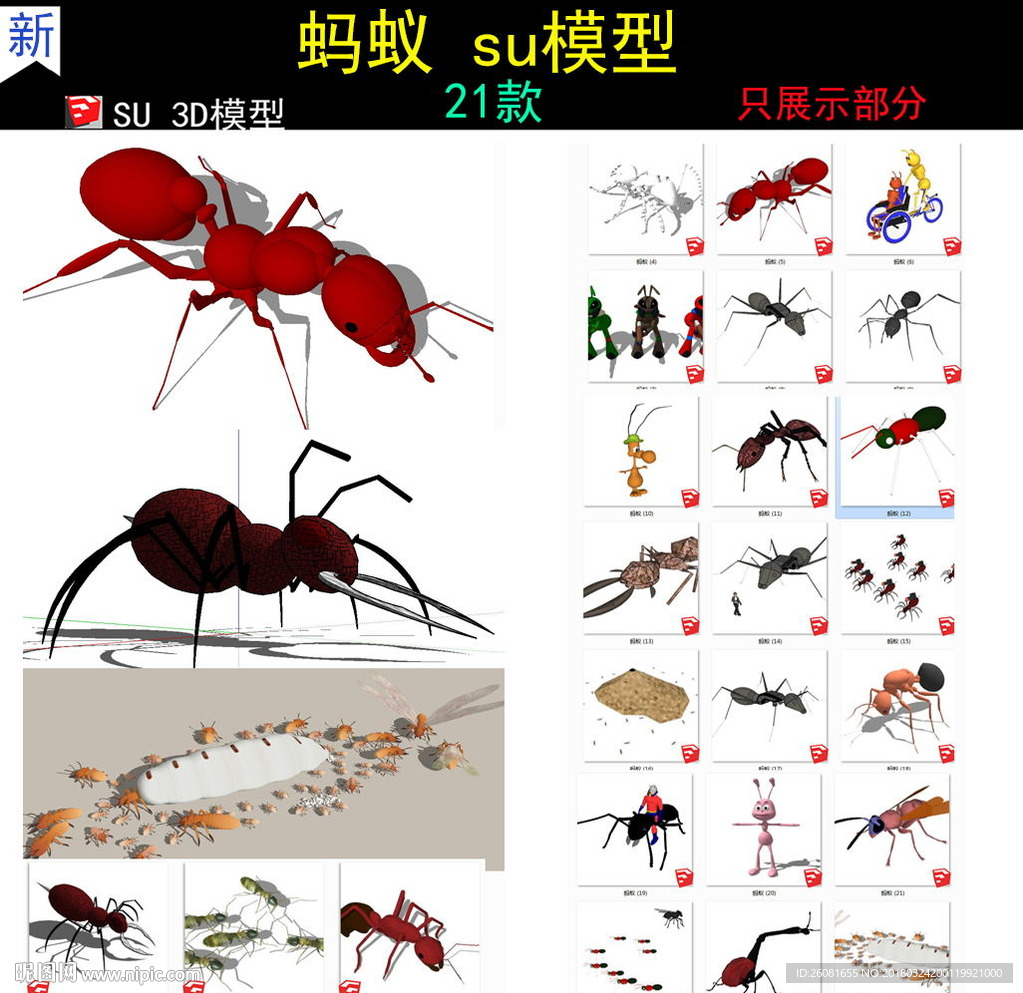 蚂蚁su模型