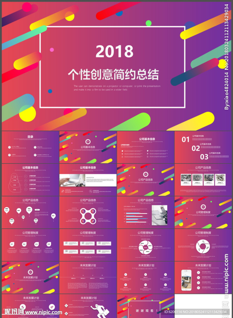 个性创意简约总结PPT