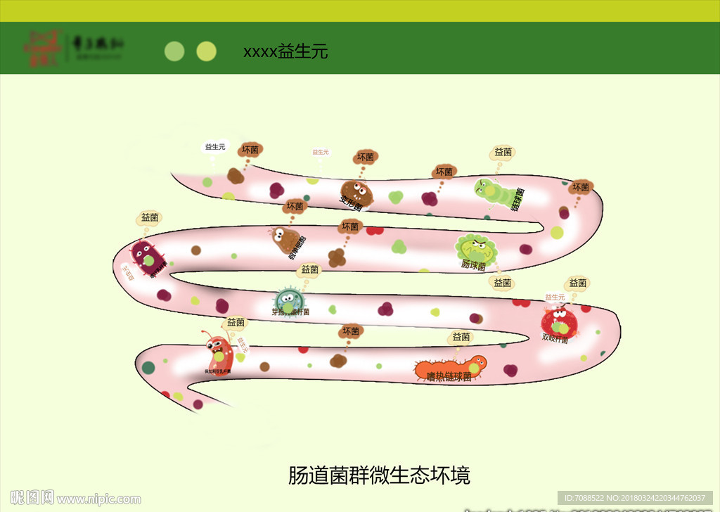 肠道菌群微生态环境（益生菌）