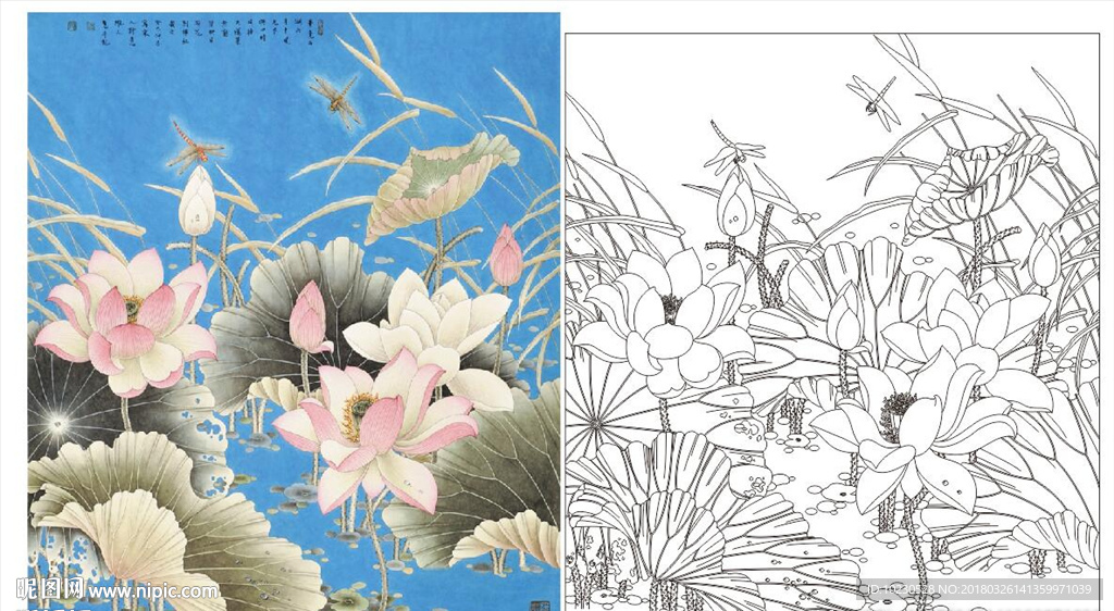 荷花