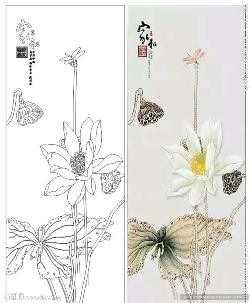 家和荷花