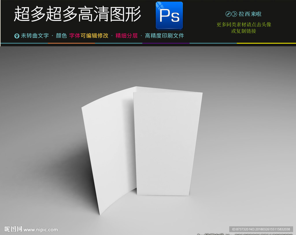 高档通用三折页样机效果图