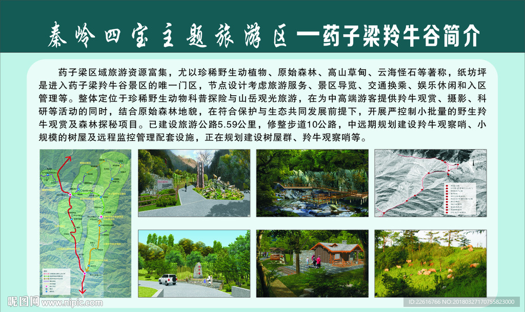 秦岭四宝
